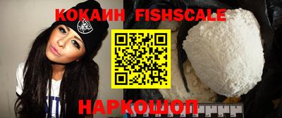 гидра Новодвинск