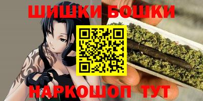 гидра Новодвинск