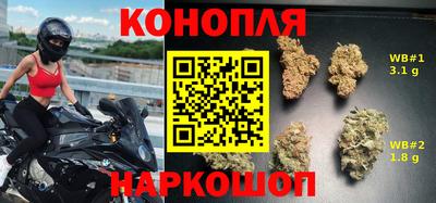 спиды Новозыбков