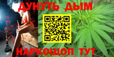 спиды Новозыбков