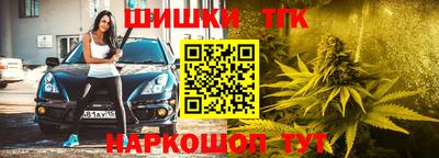 спиды Новозыбков