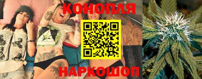 гидра Новодвинск