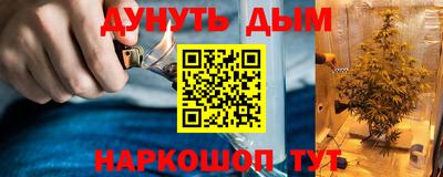 гидра Новодвинск