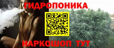 спиды Новозыбков