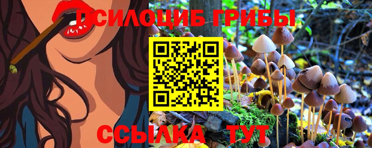 Псилоцибиновые грибы Psilocybe Азнакаево